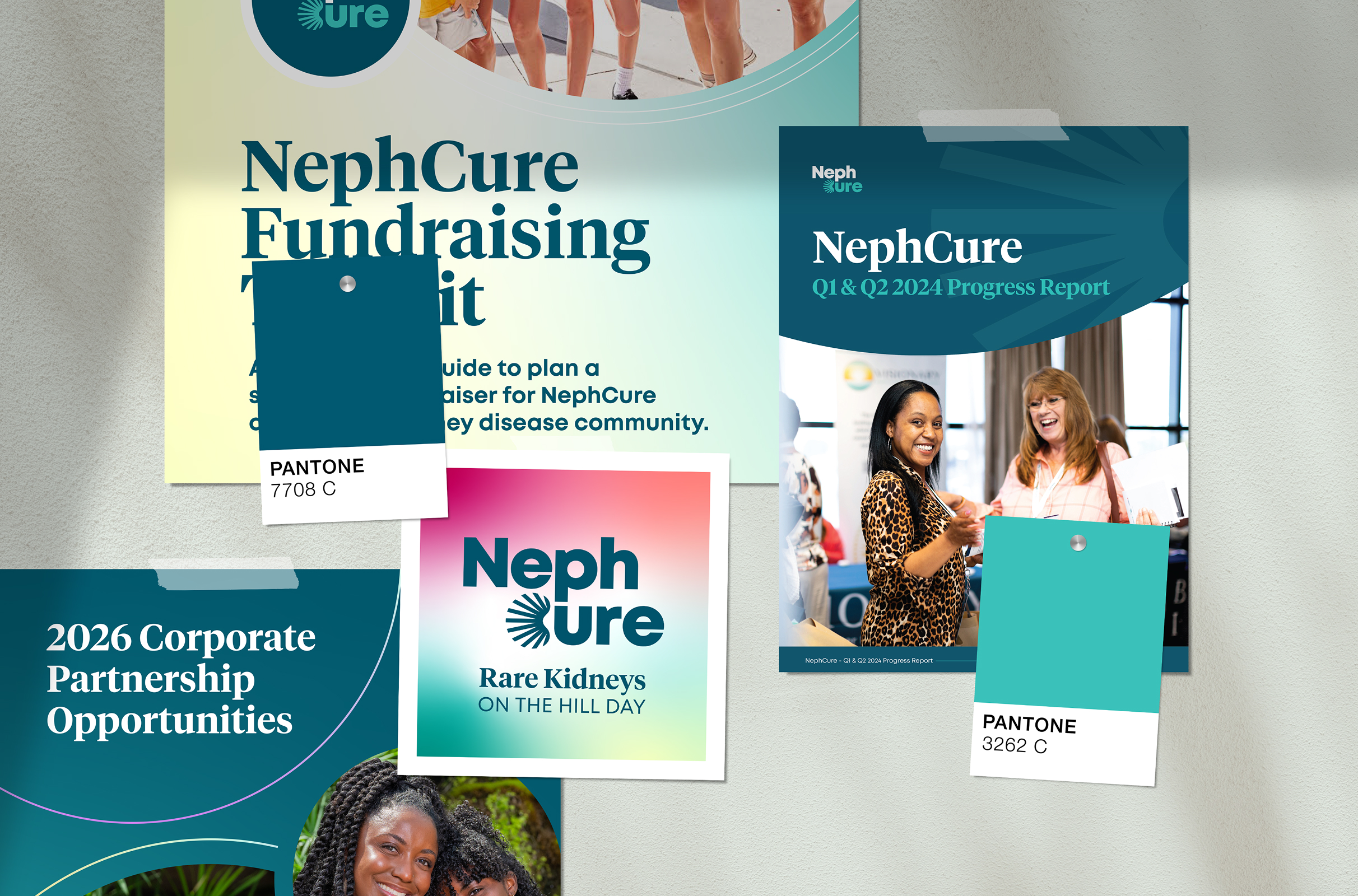 Various NephCure campaign materials are displayed, featuring fundraising events, progress reports, and corporate partnerships. Includes Pantone color swatches.
