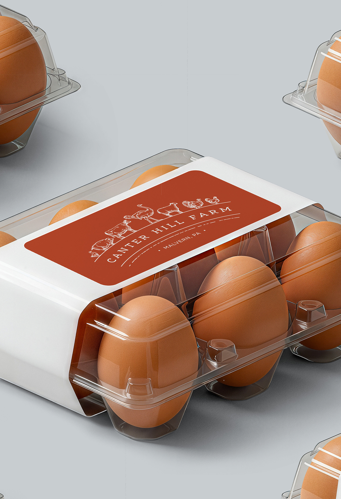 Canter Hill Farm-Eggs Carton of brown eggs with clear plastic lid and white base, labeled "Canter Hill Farm" in red with farm animal icons. Simple, rustic feel.