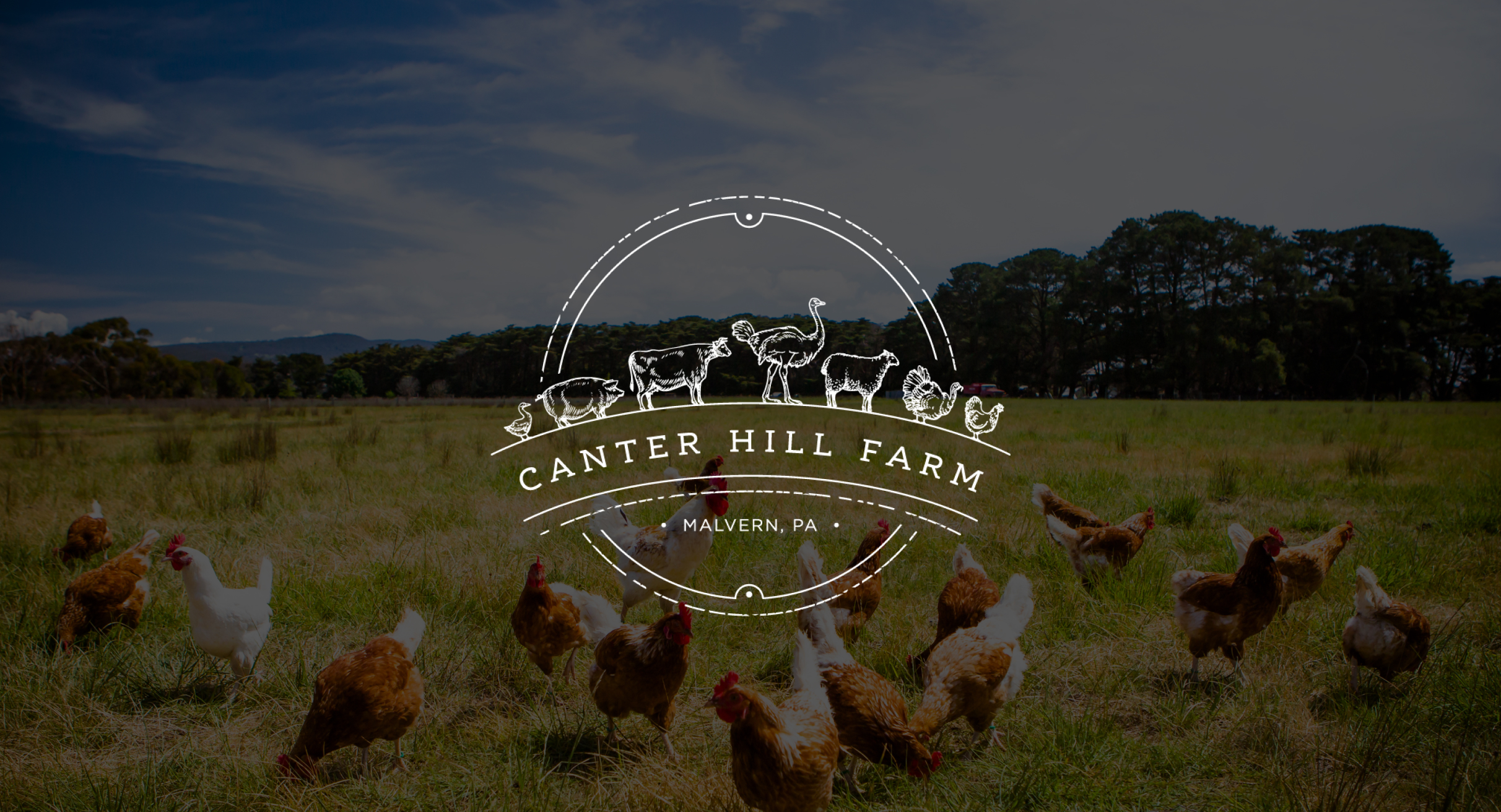 Canter Hill Farm-Hero Chickens freely roam a grassy field under a clear sky. A white Canter Hill Farm logo overlays the scene, depicting various farm animals.