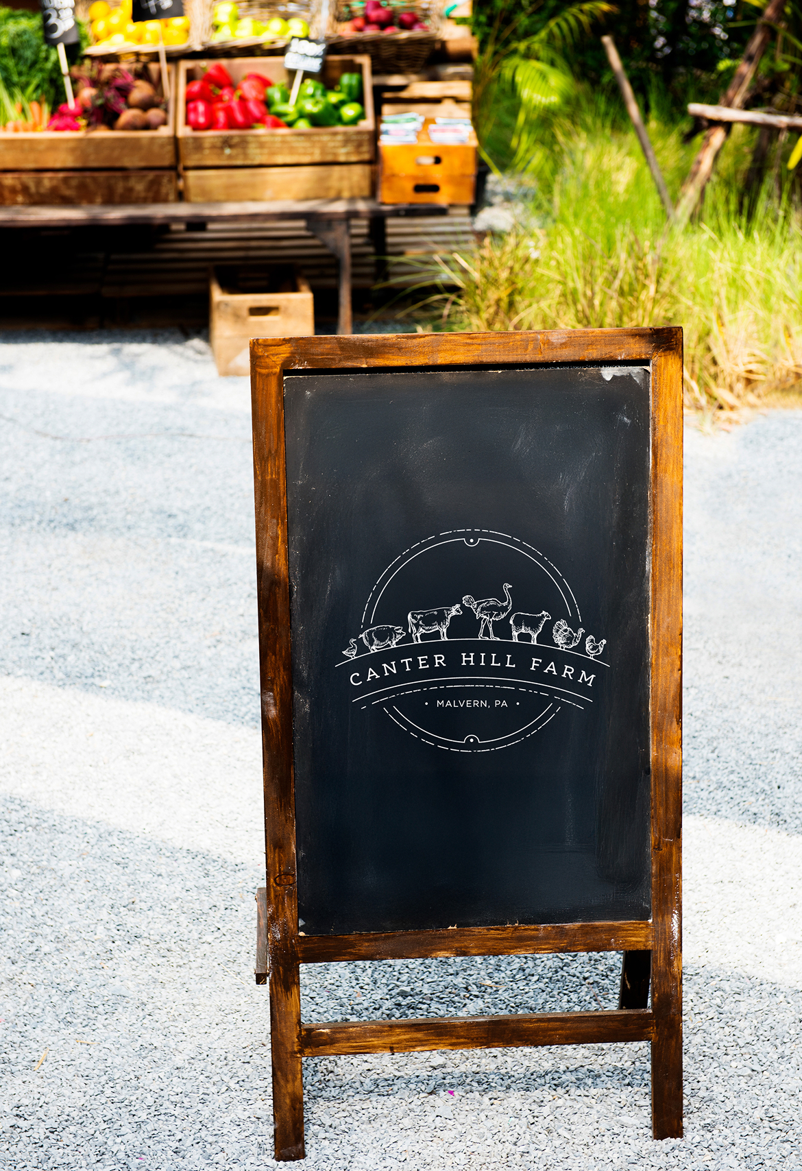 Canter Hill Farm-Sign Chalkboard sign reading "Canter Hill Farm" with animal silhouettes stands on gravel. Fresh vegetables in wooden crates are blurred in the background.