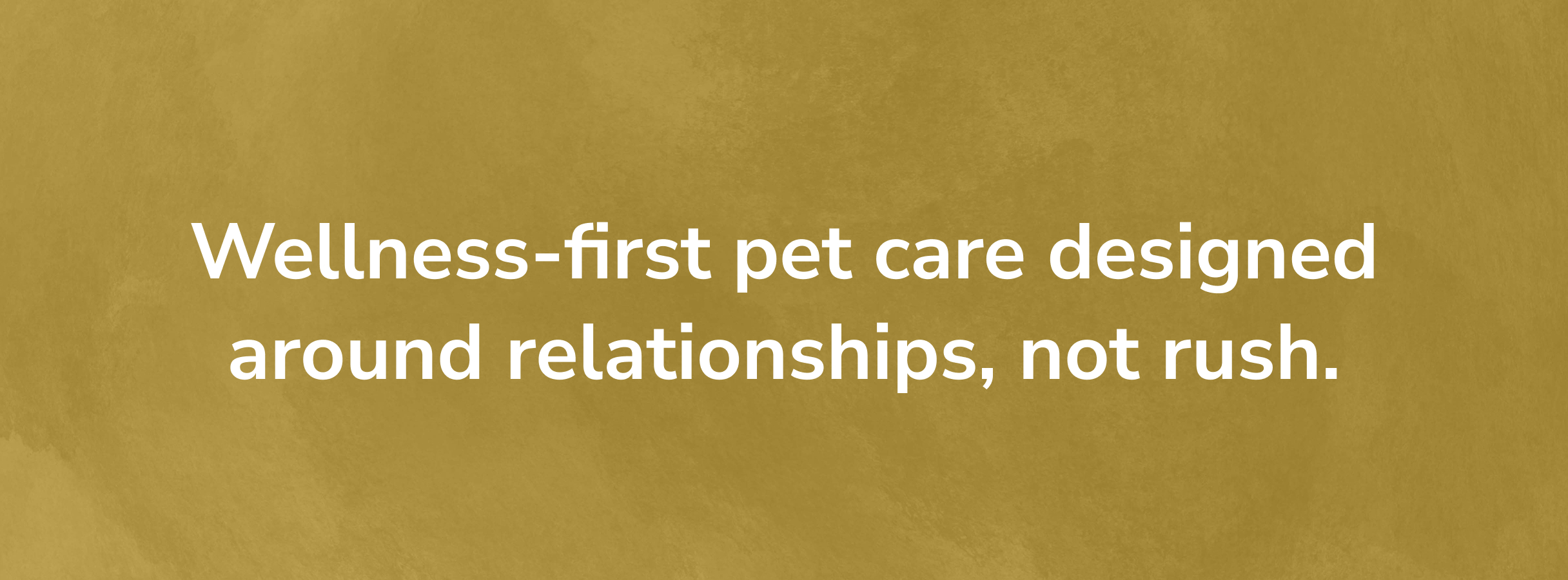 Text on a textured golden background reads, "Wellness-first pet care designed around relationships, not rush." The tone is calming and thoughtful.