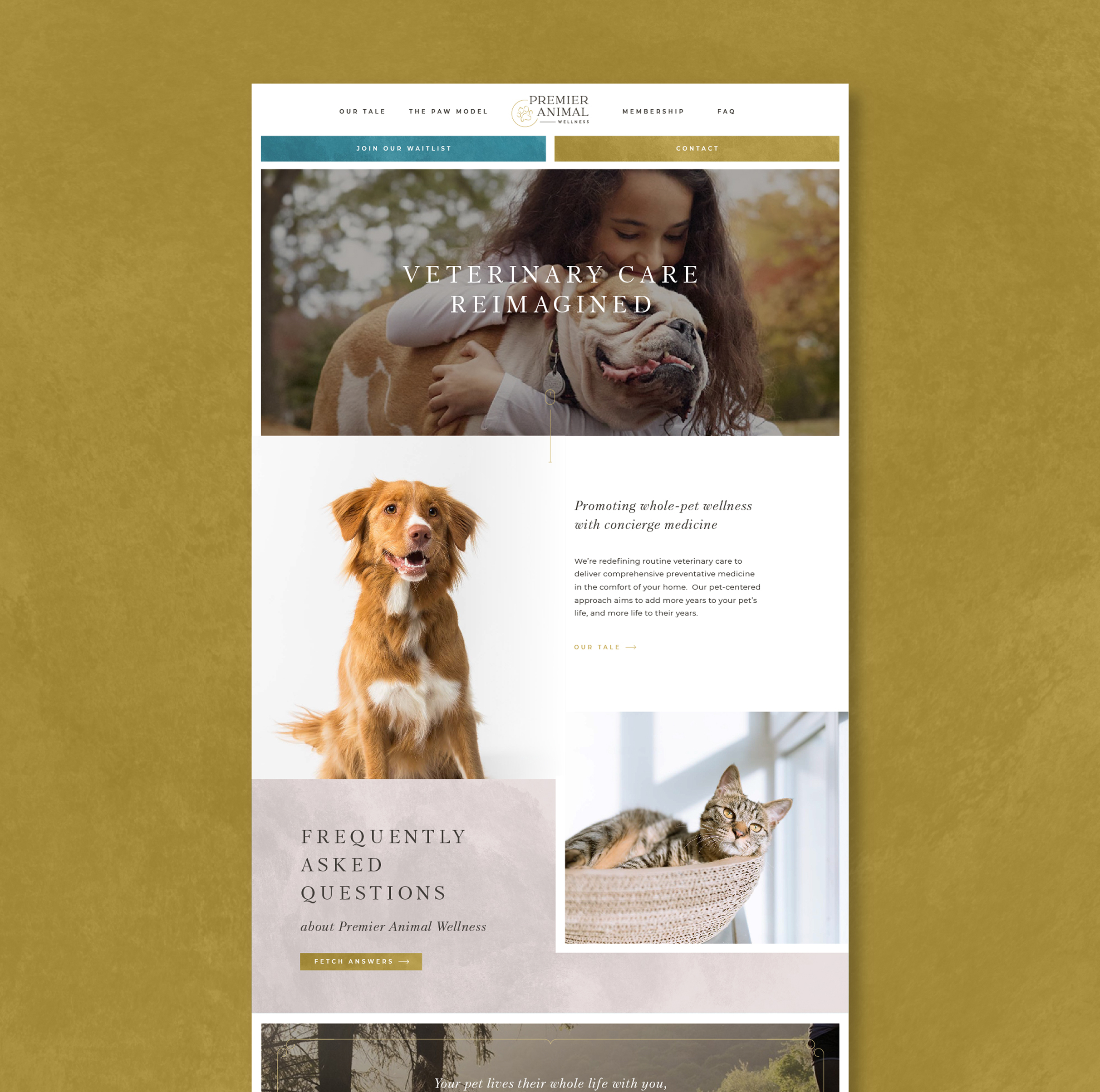 Premier Animal Wellness homepage showcasing caring pet images. Top shows a girl hugging a Bulldog, text reads 'Veterinary Care Reimagined'. Below, a happy orange dog and a cat lounging in a basket illustrate pet wellness focus. Calm, inviting tone.