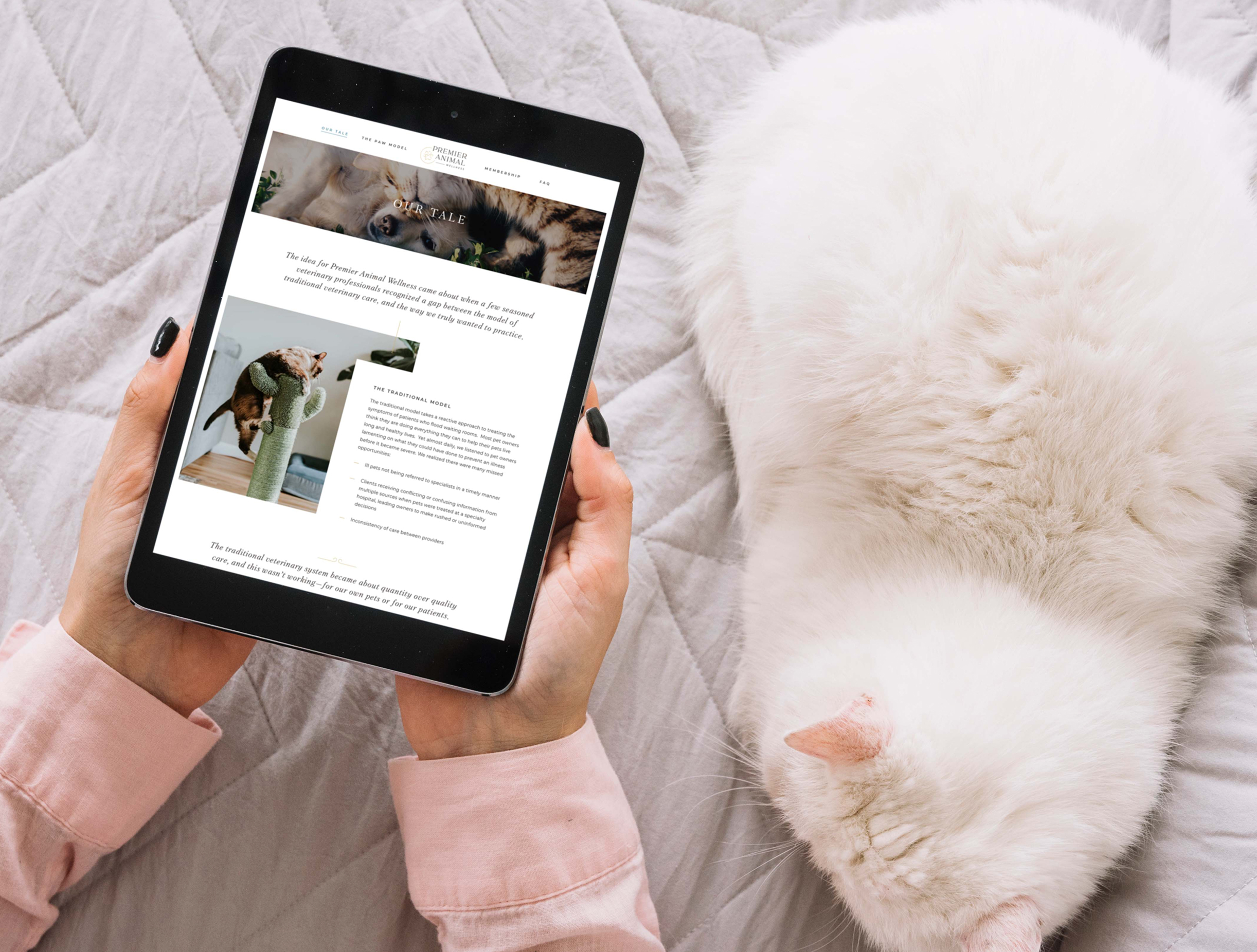 Hands holding a tablet displaying a page from the Premier Animal Wellness website. A fluffy white cat rests nearby on a quilted surface, creating a cozy and relaxed atmosphere.